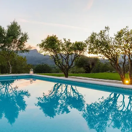 Tortet Villa Pollenca